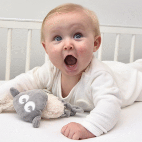 Sweet Dreamers Ewan Snuggly Comforter- Grey