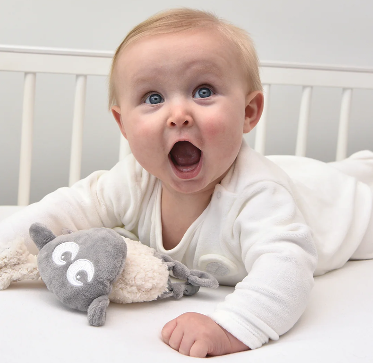 Sweet Dreamers Ewan Snuggly Comforter- Grey Sweet Dreamers Ewan Snuggly Comforter- Grey