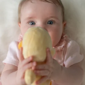 Duck Plush Baby Rattle
