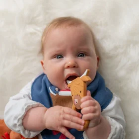 Reindeer Red  Christmas Bib (Copy)