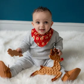 My First Christmas Winter Animals Bib (Copy)