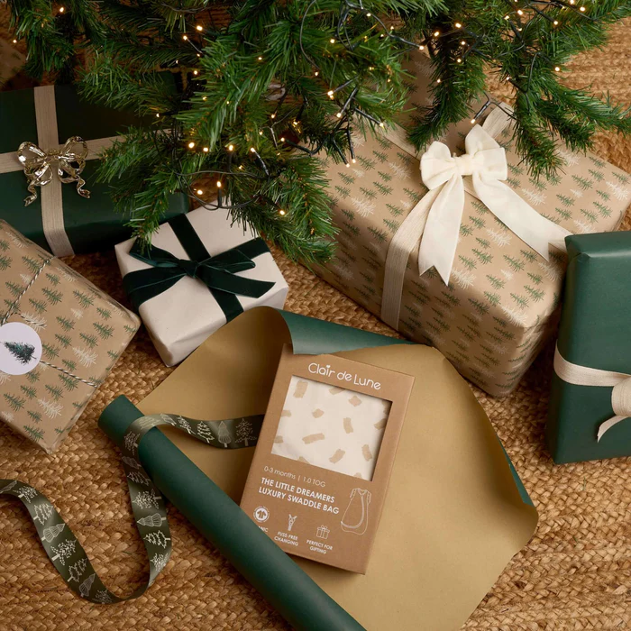 Little Dreamers Luxury Organic Swaddle Bag (0-3 Months) Little Dreamers Luxury Organic Swaddle Bag (0-3 Months)