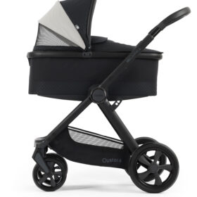 Oyster 4 Bundles- Raven