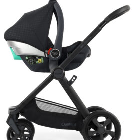 Oyster 4 Bundles- Raven