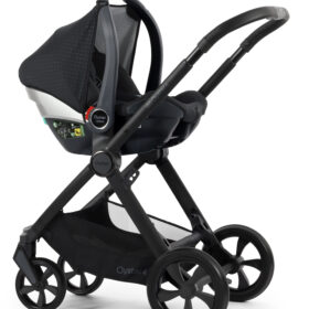 Oyster 4 Bundles- Raven