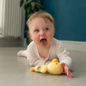 Duck Plush Baby Rattle