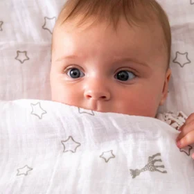 Sophie La Girafe® – Sophiesticated The Swaddle Set