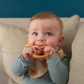 Highland Cow Print Dribble Bib