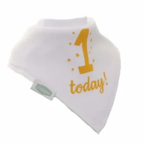 '1 Today!' Dribble Bib