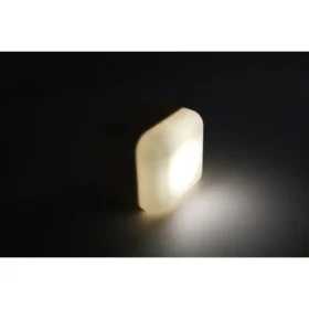 Cube B™ – Finley Fawn