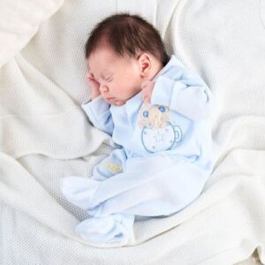 Dandelion Mouse In Teacup Velour Sleepsuit- Blue