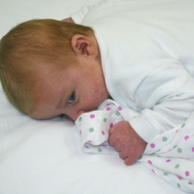 Muslinz 12 Pack Muslin Squares Spot Combo – 70x70cm