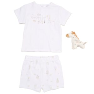 Baby Unisex Giraffe Set & Plush Toy