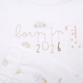 Baby Unisex Giraffe Set & Plush Toy