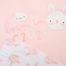 Baby Girlss Bunny “born In 2026” Set & Plush Toy