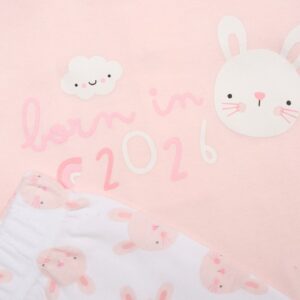 Baby Girlss Bunny “born In 2026” Set & Plush Toy