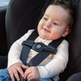 Dooky Seatbelt Safety Clip