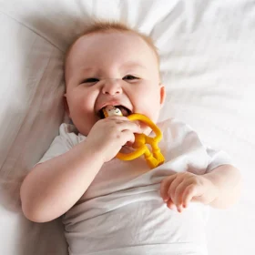 Ludo Lion Teether