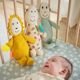Sensory Teething Teddy Set – Giraffe