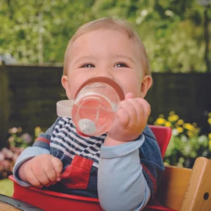 Tall Tippy Up Sippy Cup- Fergus Fox- 300ml