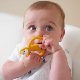 Ludo Lion Teether